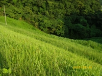 ダムでの風景-その2-