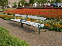 地元の公園_その1