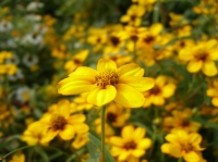 地元の公園_その4