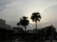 2005年9月のUSJの夕焼け