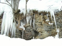 つらら-自然の造形美