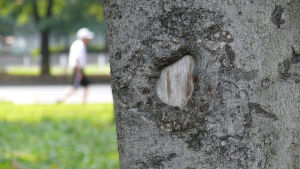 赤塚公園-その1