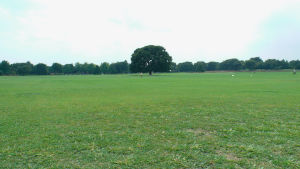 国営昭和記念公園1